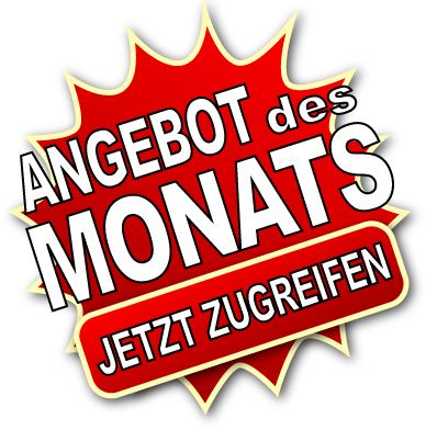 Megerle EDV in Bruchsal - Angebot des Monats